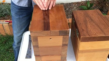 Native bee boxes 🐝