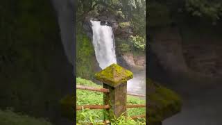 Sofia Ansari First Vlogs