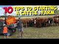 Starting a Beef Cattle Farm 10 TIPS for beginners to start a Cattle Ranch