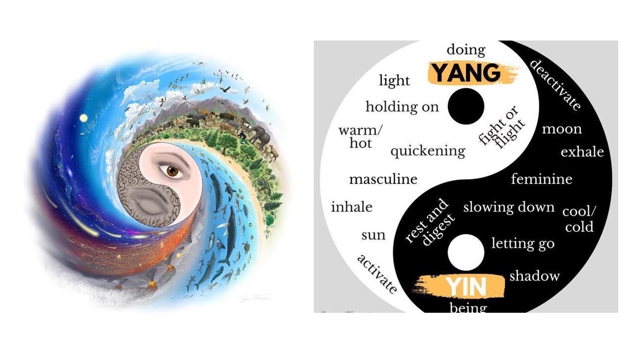 YIN YANG SYMPTOMS Quiz 1