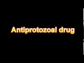 What Is The Definition Of Antiprotozoal drug Medical Dictionary Free Online