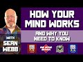 How Your Mind Works  - MindHacking Happiness 002