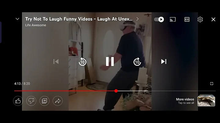 funny videos