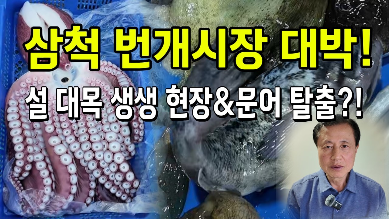 2026 설연휴 삼척 번개시장 실황! 펄떡이는 자연산 우럭과 가자미 그리고 귀하신 문어 현장