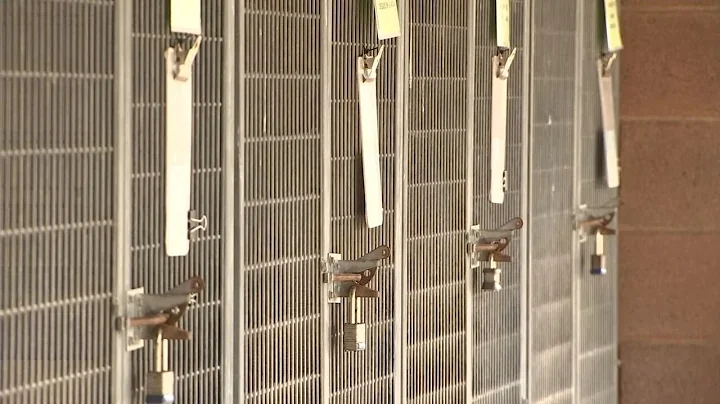 Volunteers come forward to express concerns of “crisis” at Henderson’s animal shelter