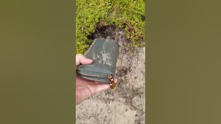 Lost purse full of money