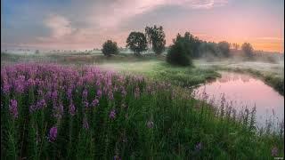 Stereo Madness (L-Mity aka DJ-Mellon remix)