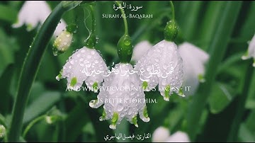 {شَهْرُ رَمَضَانَ }القارئ فيصل الهاجري يُحبر آيات الصيام في الليلة الرابعة من رمضان ١٤٤٣هـ