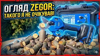 Огляд акумуляторного секатора Zegor ESAX-21BL-32: Чесний тест у саду.