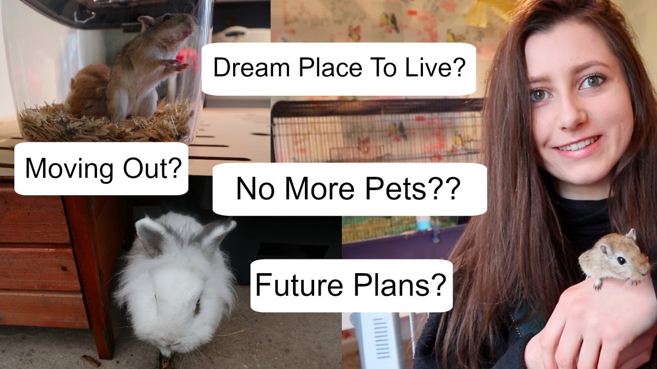 petco hours Answering Your Questions (pets & lifestyle)