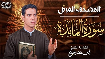 من روائع التلاوات ✨ سورة  المائدة ✨ القارئ احمد ربيع