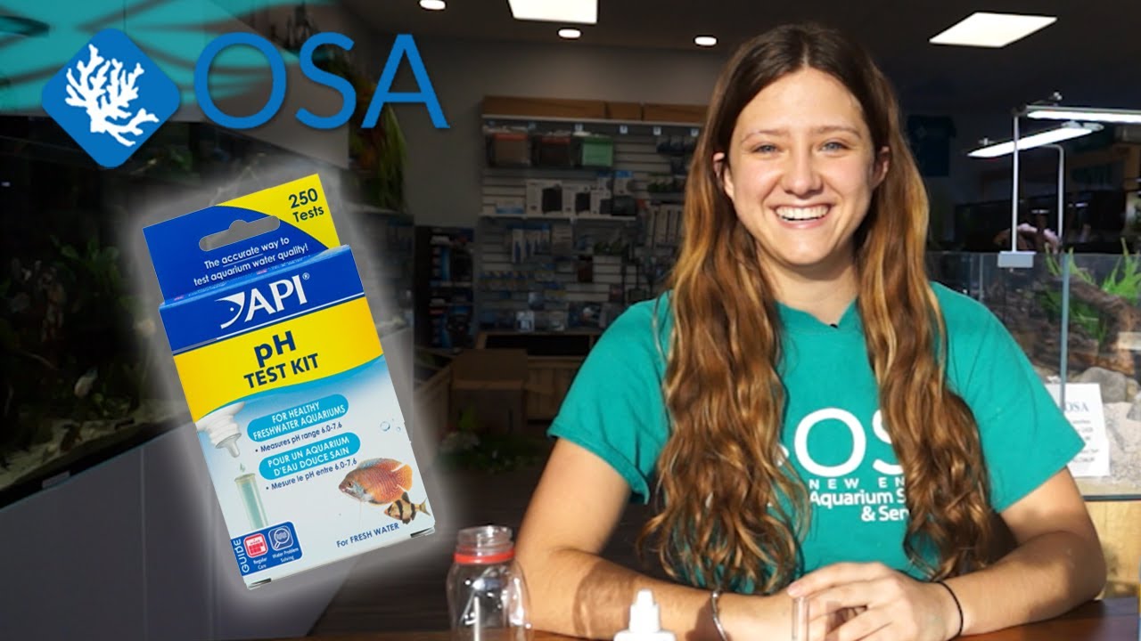 How to Test PH Levels in Your Aquarium YouTube