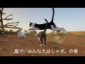 嵐の後は、猫も犬もガゼルも鳩も人も、大はしゃぎ。The special day in the desert.