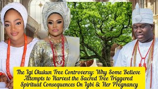 Download Lagu The Igi Okukun Tree Controversy: Why Some Believe Attempts to Harvest the Sacred Tree Triggered  MP3
