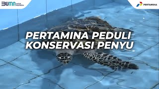 Inilah Perjalanan Langkah Nyata Pertamina Peduli Konservasi Penyu di Bali