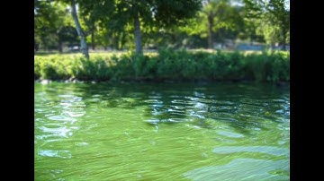 Std -4/mari asapas chapter -13 /topic -2