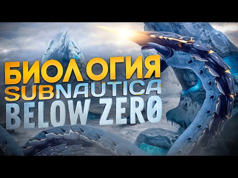 Видео: Биология игры Subnautica Below Zero | Ч.1| Спекулятивная биология