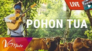 Pohon Tua - Kita dan Dunia [cover Dialog Dini Hari]