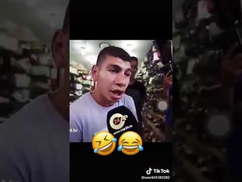 اجساام البغال وعقول العصافير