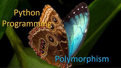 Polymorphism in python programming - OOP in Python