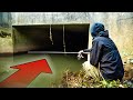 What Fish Live In This Mysterious Tunnel?!