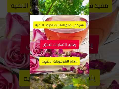 فوائد تناول شاي الورد المحمدي فوائد الورد المحمدي كنوز الطبيعة