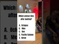 Which Animal dies after matting?🤔#children #englishlearning #qanda #iq #quiz