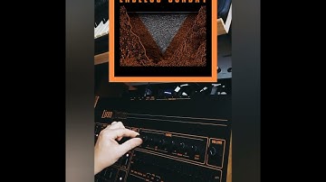 Nomenklatür Linndrum LM-2