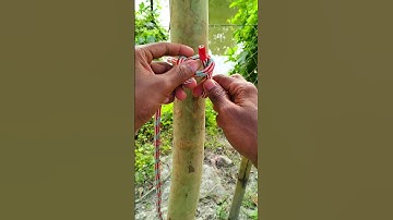 Quick & Easy Knot Tying Tips! #diy #knot #knots #shorts