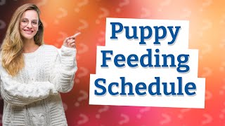 What time schedule should a puppy eat?