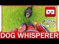 360° VR VIDEO - German Shepherd | Agility Training Dog Whisperer  - VIRTUAL REALITY