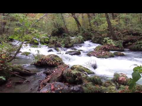 Oirase Stream Towada-Hachimantai National Park Towada Aomori Tohoku Honshu Japan