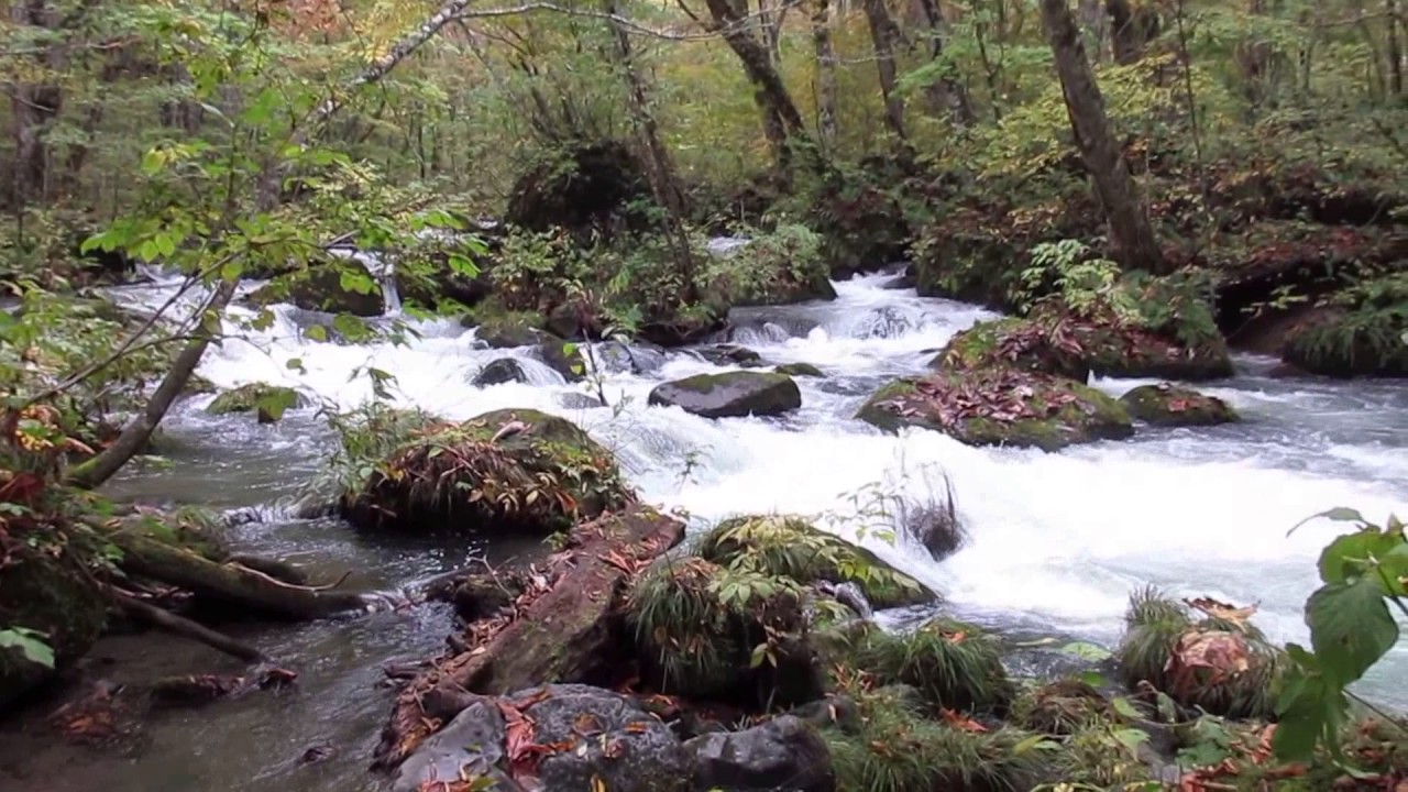 Oirase Stream Towada Hachimantai National Park Towada Aomori Tohoku Honshu Japan Youtube