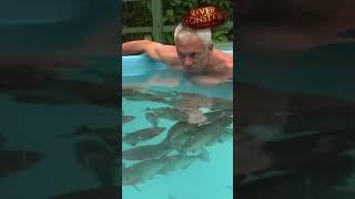 Getting Into A Pool With Piranhas | #Shorts | Piranha | River Monsters