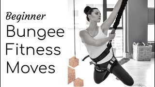 Uplift Active Bungee Fitness Tutorial by Novaturient Pilates