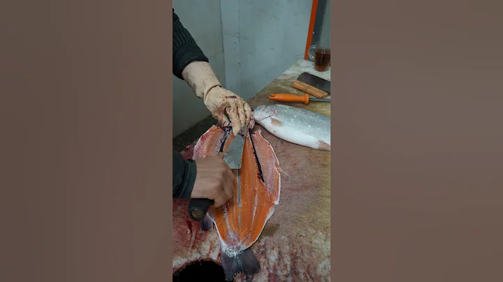 How to Fillet, gutting, and Bone an Salmon