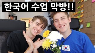 OLLIE'S FINAL KOREAN LESSON