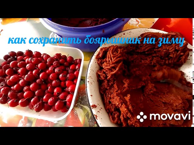 Супер способ заготовки боярышника на зиму.