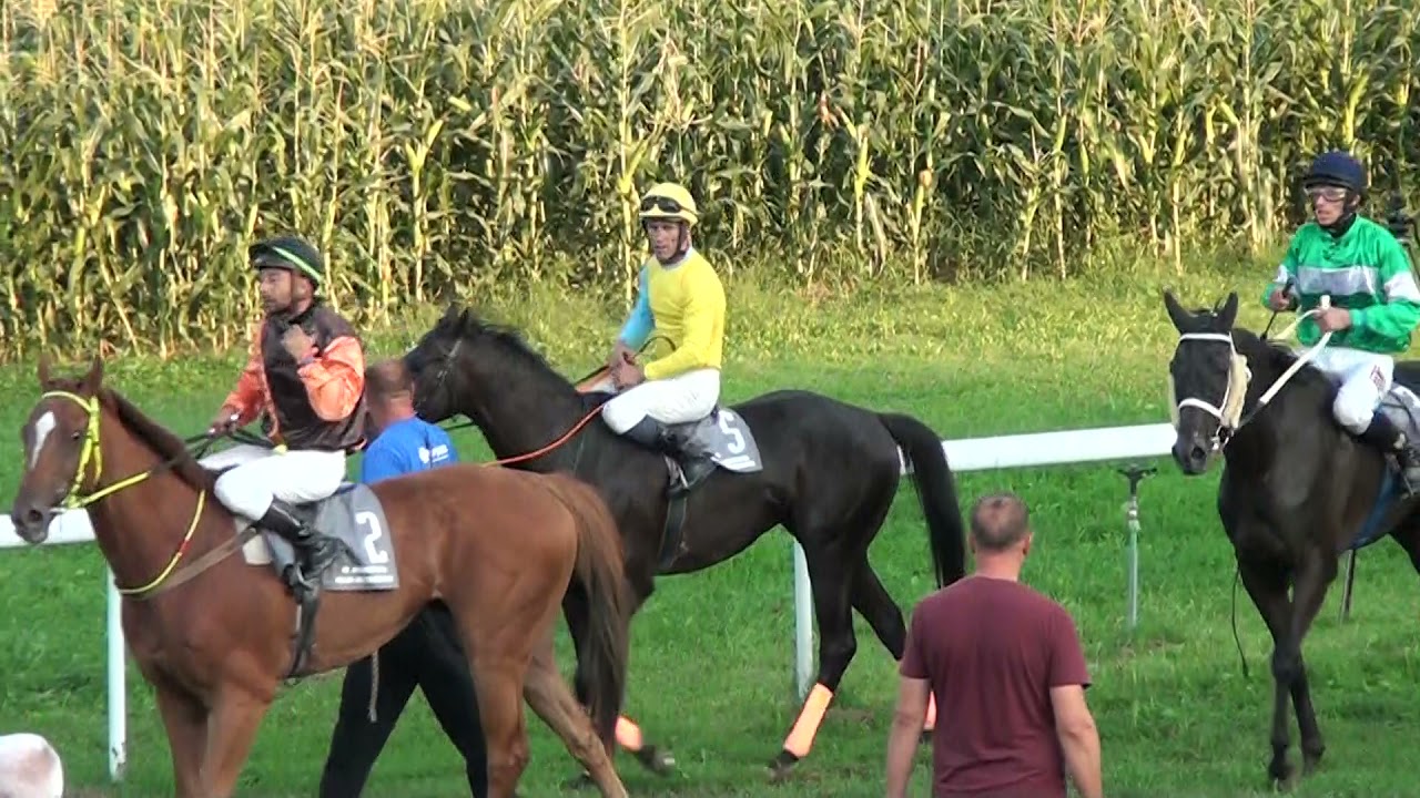 18  Memorijal Alija Izetbegović