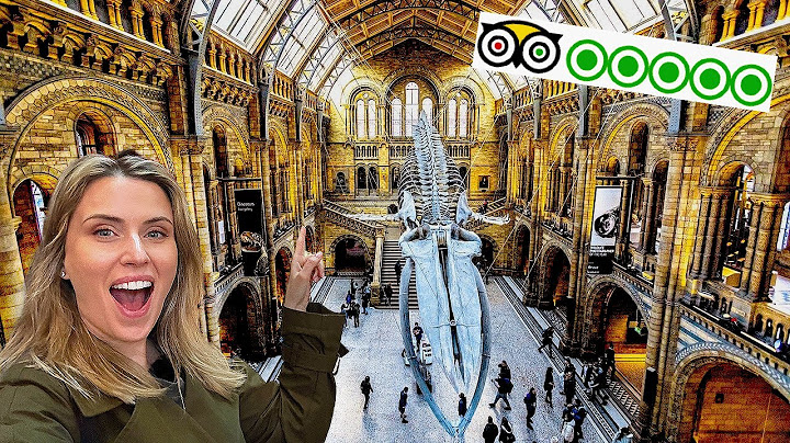 How Is This Free?! Number ONE Museum In London 2024