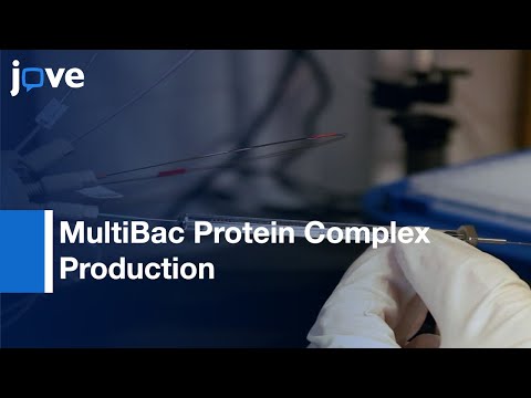 The MultiBac Protein Complex Production Platform At EMBL l Protocol Preview