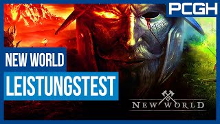 Server-Warteschlangen oder zerstörte Grafikkarten in New World? | PCGH erklärt Systemanforderungen!