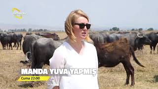 Manda Yuva Yapmış Fragman Bugün 22 00 Da