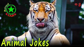 Animal Jokes 🐶 🐒 🐼 Funny Dogs Cute Cats Amazing Pets Funny Jokes 2020 №8 by Animal Stars 6,534 views 3 years ago 5 minutes, 55 seconds