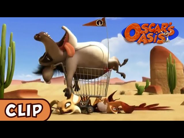 Oscar no Oasis velocidade máxima! #animation #cartoon #oscarsoasis