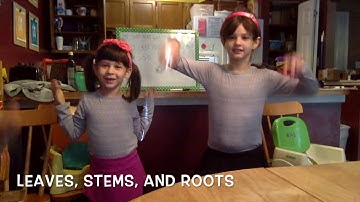 CC Cycle 1 Week 9 Science 2018 (UPDATED)