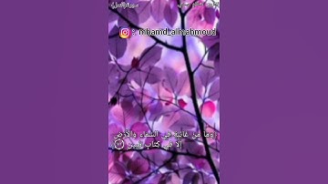 تلاوة مريحة للقلب من سورة النمل للقارئ اسلام صبحي  #اسلام_صبحي/ حالات واتس اب دينية