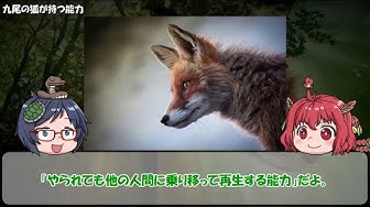 陽狐と月狐のゆっくり解説 Youtube