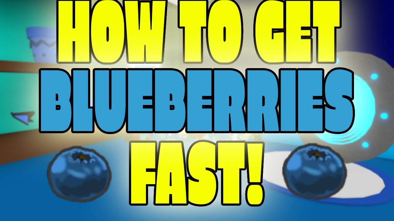 how-to-get-blueberries-fast-roblox-bee-swarm-simulator-youtube