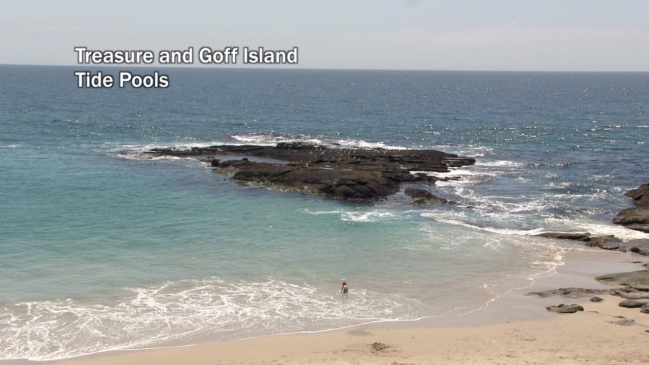 Treasure Island Tide Pools - YouTube